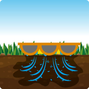 FITT Sprizzi illustrazione irrigazione per impregnamento